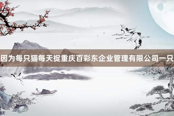 因为每只猫每天捉重庆百彩东企业管理有限公司一只