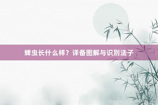 蜱虫长什么样?详备图解与识别法子