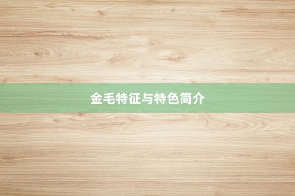 金毛特征与特色简介